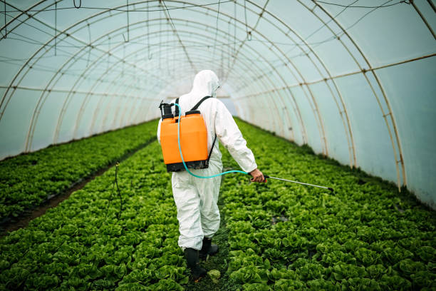 Best Local Pest Control Services  in Topton, PA