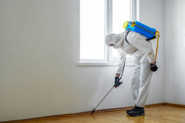 Best Insect Control  in Topton, PA