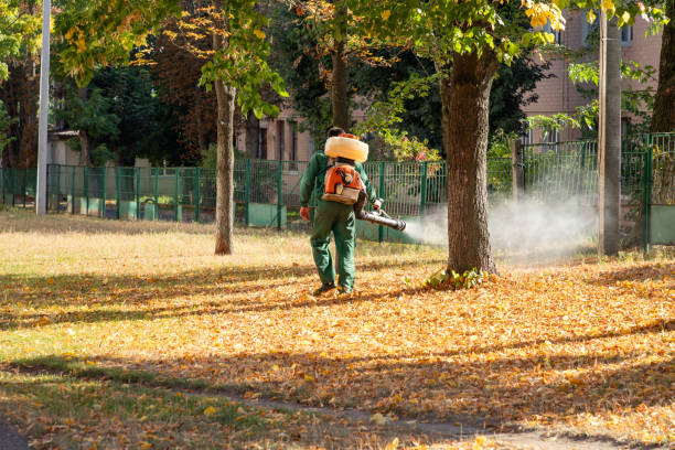 Best Emergency Pest Control  in Topton, PA