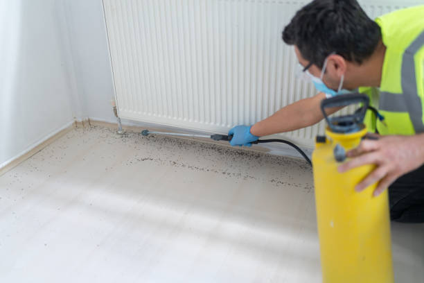 Best Pest Control for Businesses  in Topton, PA