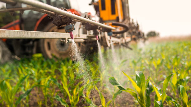 Professional Pest Control in Topton, PA